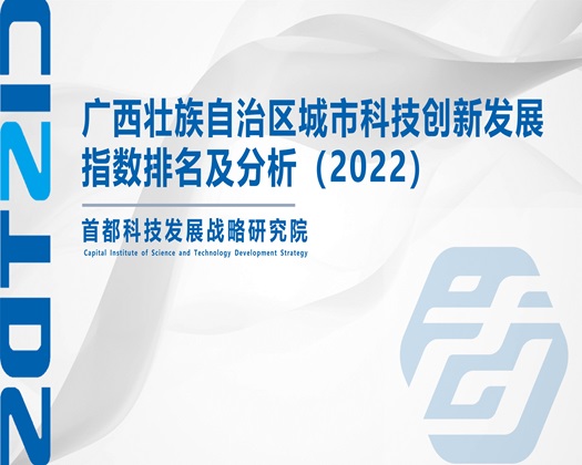 看男干女人逼免费网站【成果发布】广西壮族自治区城市科技创新发展指数排名及分析（2022）